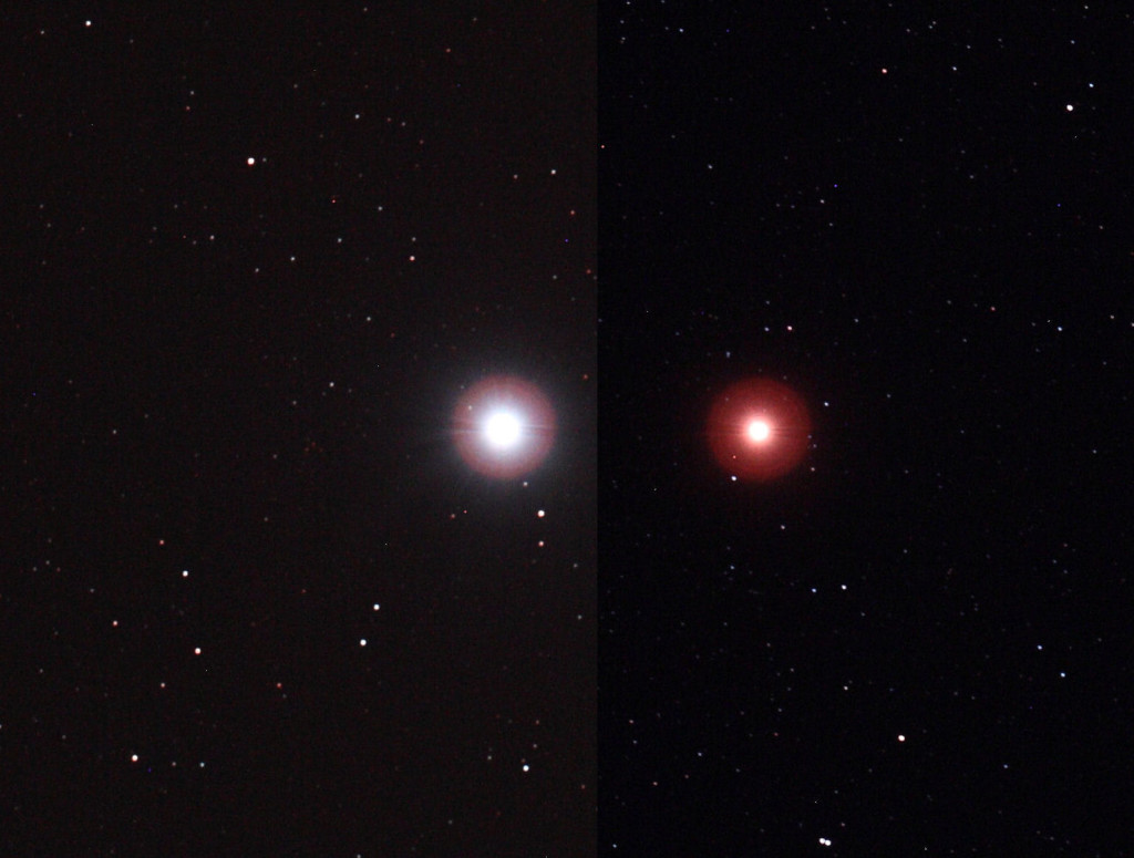 sirius and betelgeuse